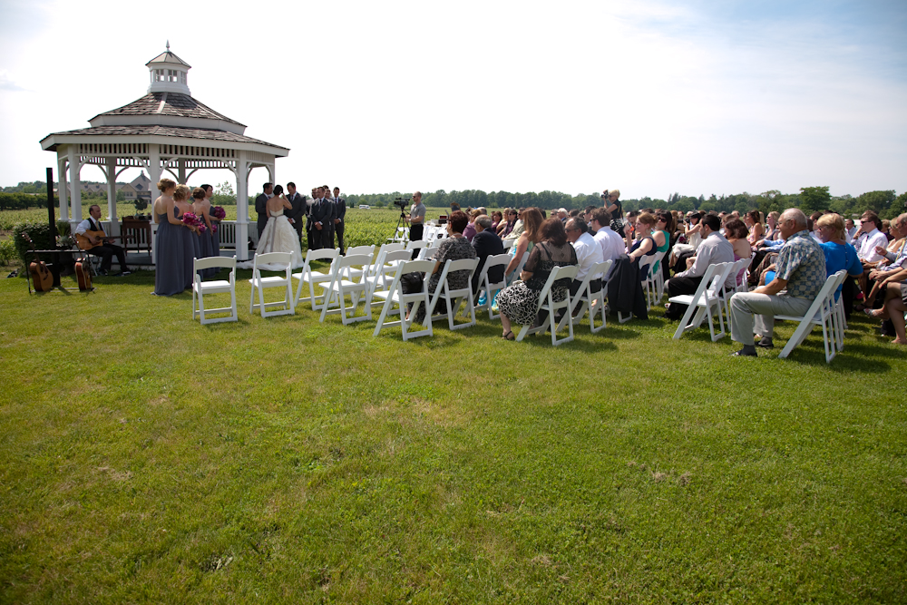 wedding guitarist toronto peterborough niagara ceremony guitar