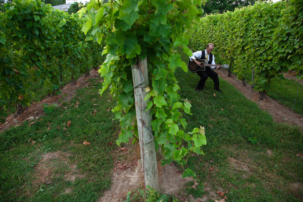 Waupoos Estates Winery, Picton, Ontario, wedding guitarist, music ceremony