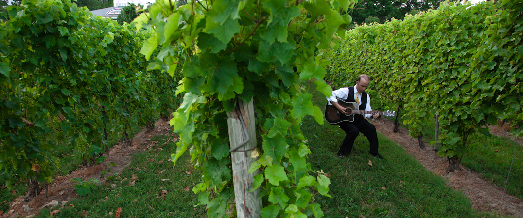 wedding guitarist live music ceremony reception toronto